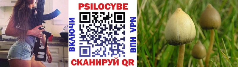 Псилоцибиновые грибы Psilocybine cubensis  купить наркоту  Подпорожье 